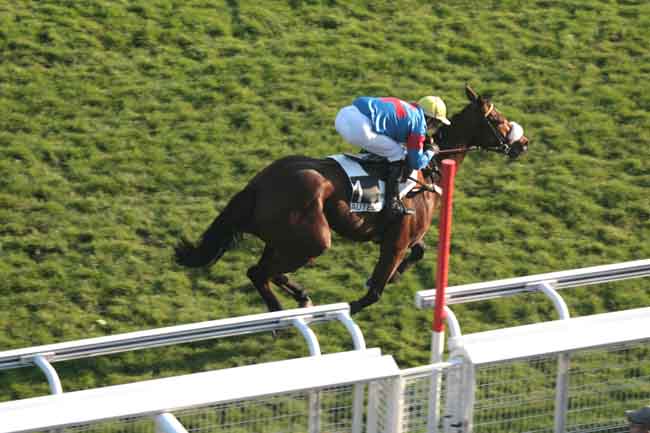 Arrivée quinté pmu PRIX FRANCOIS DE PONCINS à AUTEUIL