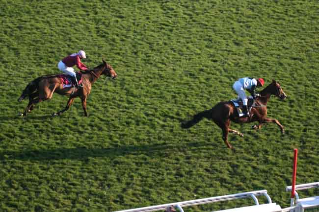 Arrivée quinté pmu PRIX FRANCOIS DE GANAY (PRIX LE PARISIEN) à AUTEUIL