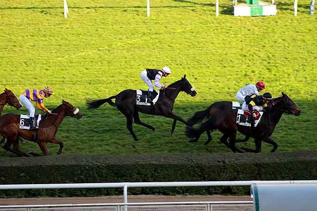 Arrivée quinté pmu PRIX BELLE SICAMBRE à SAINT-CLOUD