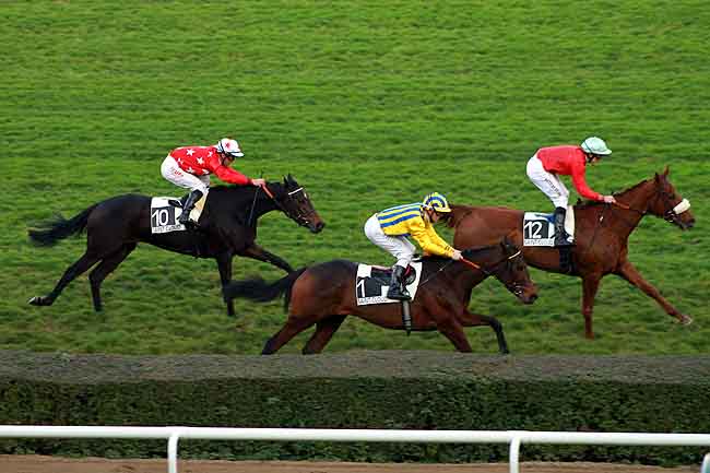 Arrivée quinté pmu PRIX SOLITUDE à SAINT-CLOUD