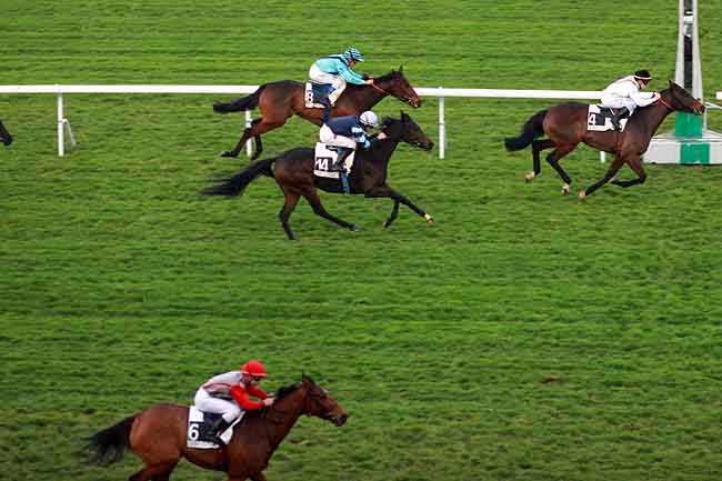 Arrivée quinté pmu PRIX DU TRIANGLE DE ROCQUENCOURT à SAINT-CLOUD