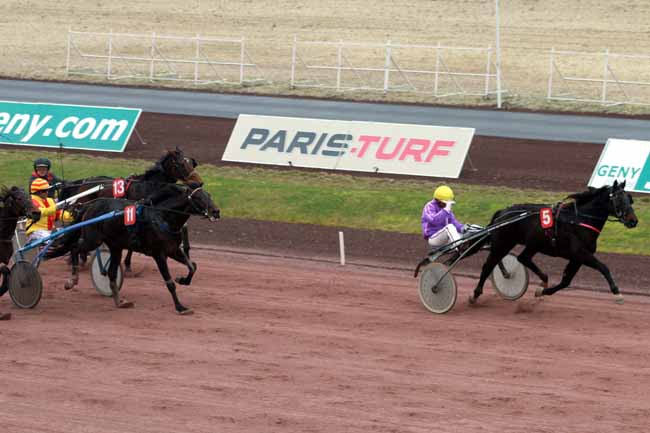 Arrivée quinté pmu PRIX PARIS NORMANDIE à MAUQUENCHY