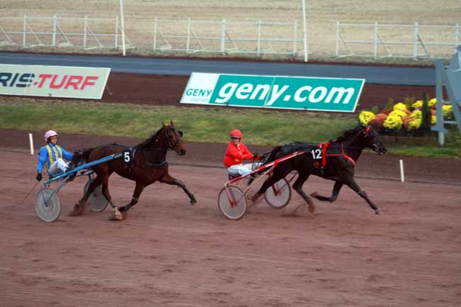 Arrivée quinté pmu PRIX LIBERTE DIMANCHE à MAUQUENCHY