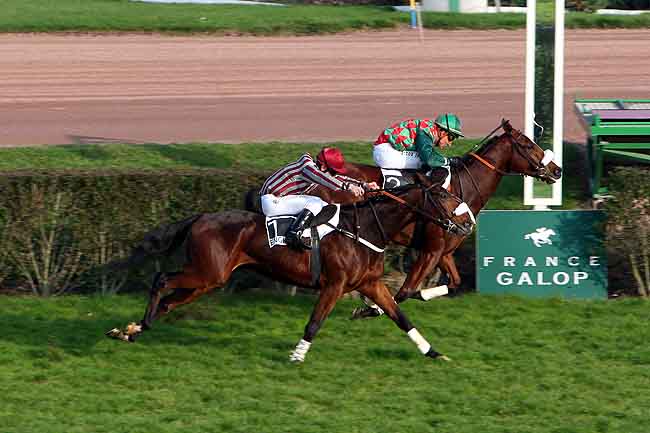 Arrivée quinté pmu PRIX ROGER DE MINVIELLE à ENGHIEN