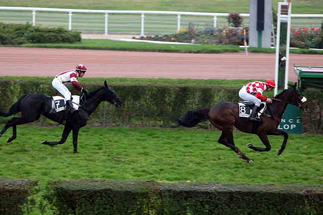 Arrivée quinté pmu PRIX VERTIGE à ENGHIEN