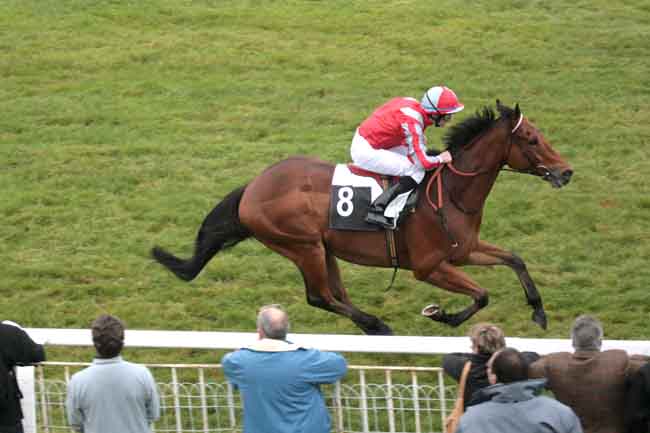 Arrivée quinté pmu PRIX CONTESSINA à FONTAINEBLEAU