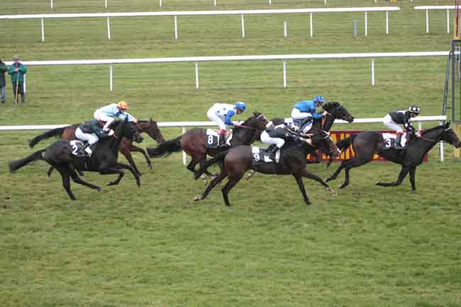 Arrivée quinté pmu PRIX DU PAVE DU ROY à FONTAINEBLEAU