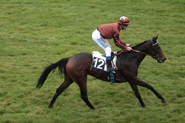 Arrivée quinté pmu PRIX DU ROCHER DE BOULIGNY à FONTAINEBLEAU