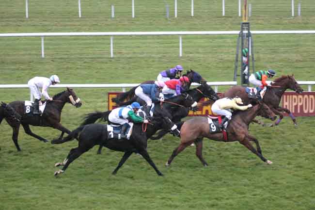 Arrivée quinté pmu PRIX DES ROCHERS DE FONTAINEBLEAU à FONTAINEBLEAU