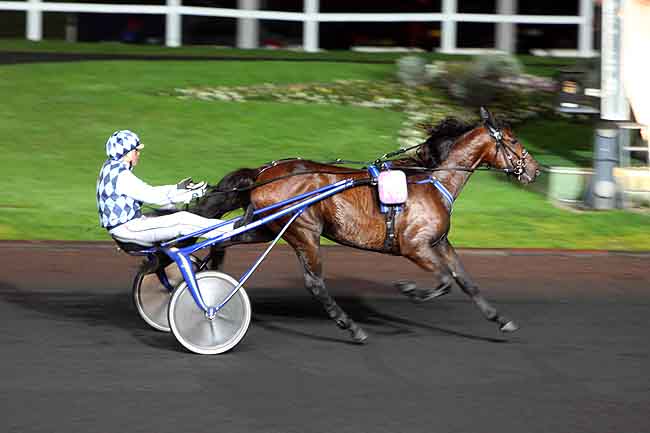 Arrivée quinté pmu PRIX HERMENTARIA à PARIS-VINCENNES