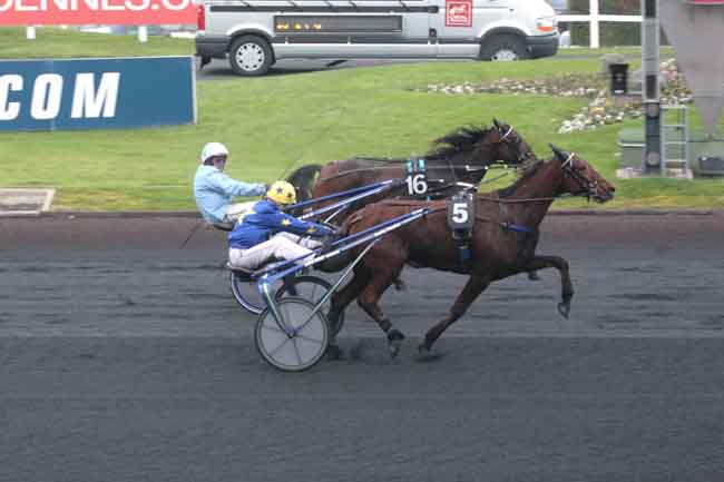 Arrivée quinté pmu PRIX DE BRESSUIRE à PARIS-VINCENNES