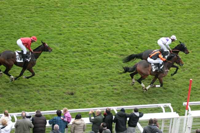 Arrivée quinté pmu PRIX SANTO PIETRO à AUTEUIL