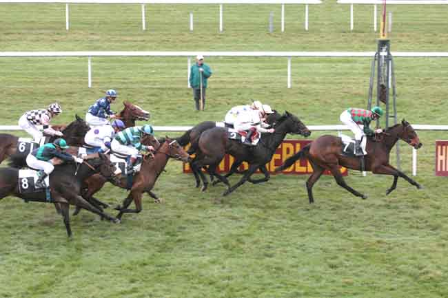 Arrivée quinté pmu PRIX DE LA RENOMMIERE à FONTAINEBLEAU