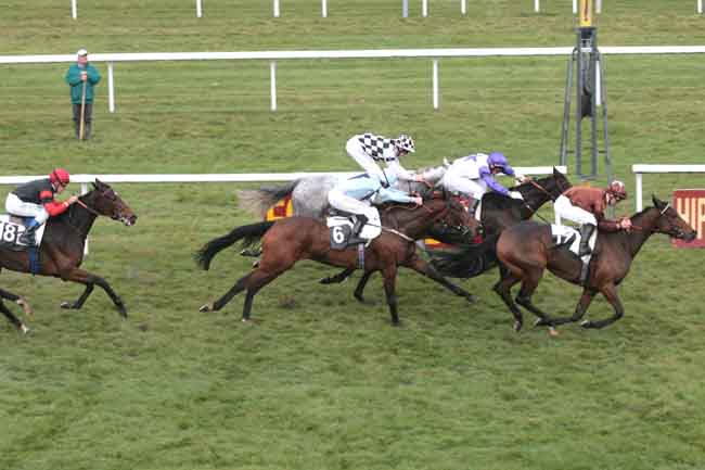 Arrivée quinté pmu PRIX BELLE DE NUIT à FONTAINEBLEAU