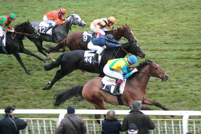 Arrivée quinté pmu PRIX DE LA LIGUE FRANCAISE POUR LA PROTECTION DU CHEVAL à FONTAINEBLEAU