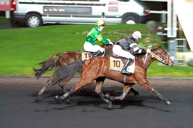 Arrivée quinté pmu PRIX OTTILIA à PARIS-VINCENNES