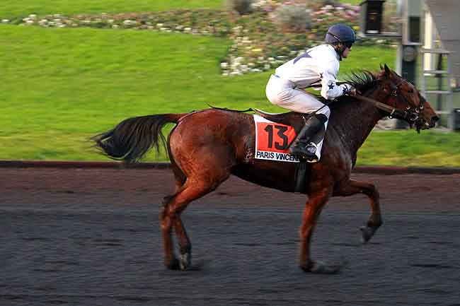 Arrivée quinté pmu PRIX D'HONFLEUR à PARIS-VINCENNES