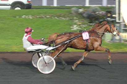 Arrivée quinté pmu PRIX DU DORAT à PARIS-VINCENNES