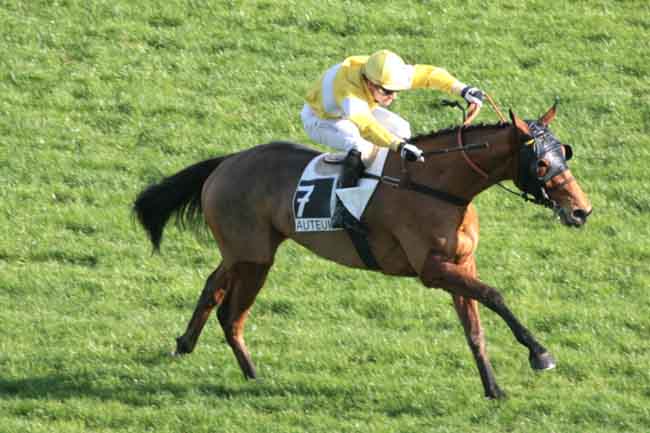 Arrivée quinté pmu PRIX ELSENEUR à AUTEUIL