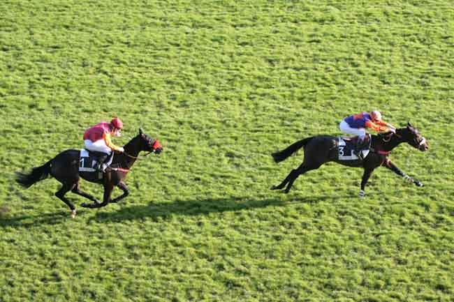 Arrivée quinté pmu PRIX CAP à AUTEUIL