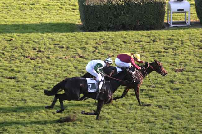 Arrivée quinté pmu PRIX DANDOLO à AUTEUIL