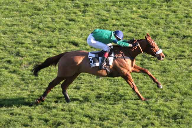 Arrivée quinté pmu PRIX LEOPOLD BARA à AUTEUIL