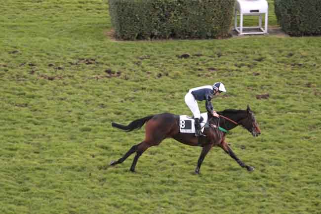 Arrivée quinté pmu PRIX OENEAS à AUTEUIL