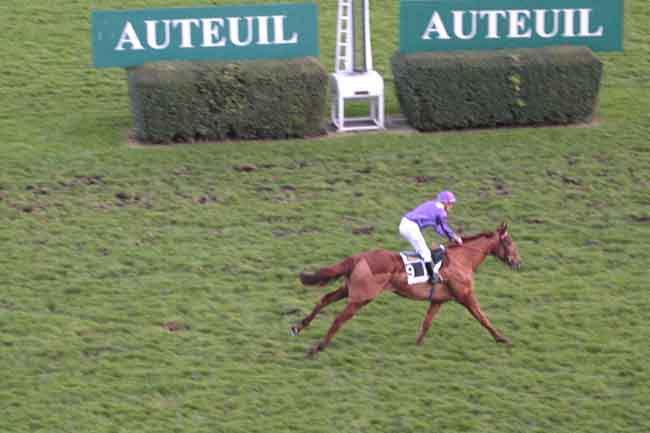 Arrivée quinté pmu PRIX HAMILTON à AUTEUIL