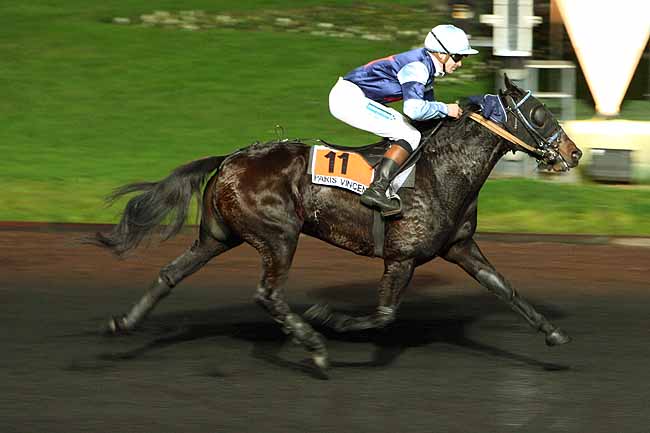 Arrivée quinté pmu PRIX VIBILIA à PARIS-VINCENNES