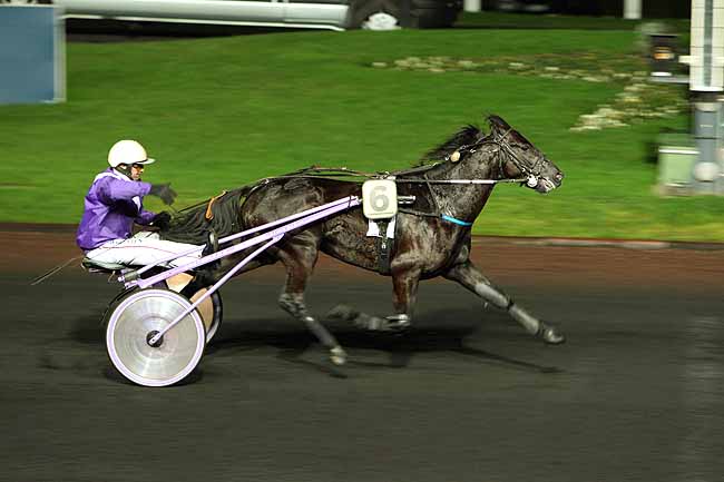 Arrivée quinté pmu PRIX OURASI à PARIS-VINCENNES