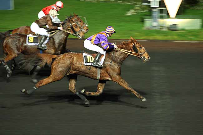 Arrivée quinté pmu PRIX WALPURGA à PARIS-VINCENNES