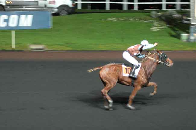 Arrivée quinté pmu PRIX DE GENSAC à PARIS-VINCENNES