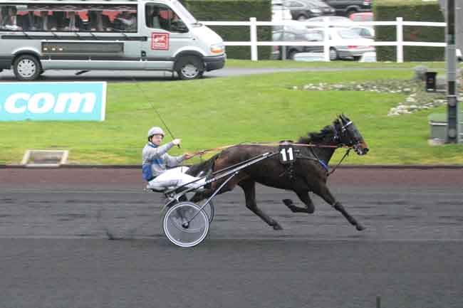 Arrivée quinté pmu COUPE INTER-REGIONALE DES 3 ANS à PARIS-VINCENNES