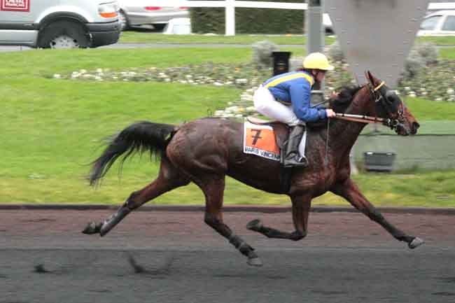Arrivée quinté pmu PRIX PHILIPPE DU ROZIER à PARIS-VINCENNES