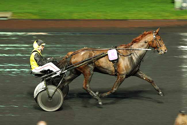 Arrivée quinté pmu PRIX DE SAINT-MALO à PARIS-VINCENNES