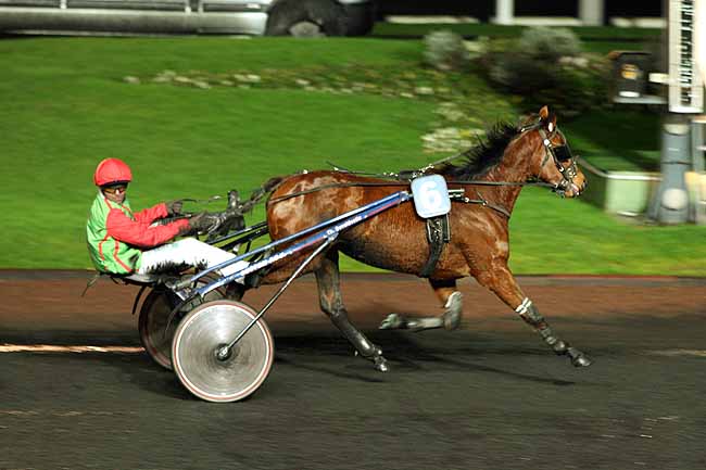 Arrivée quinté pmu PRIX DES AZALEES à PARIS-VINCENNES