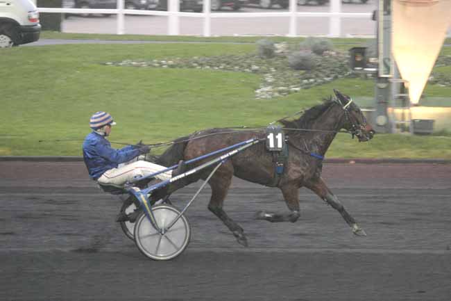 Arrivée quinté pmu PRIX DE LA VILLE DE ROYAN à PARIS-VINCENNES