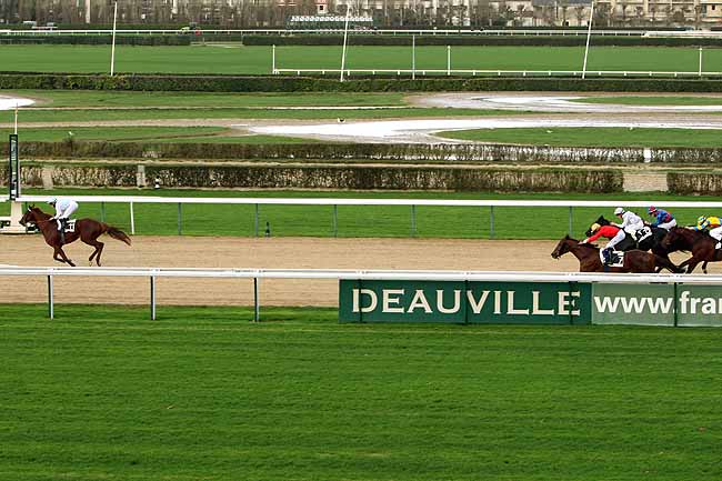 Arrivée quinté pmu PRIX DE PRECOLETTE à DEAUVILLE