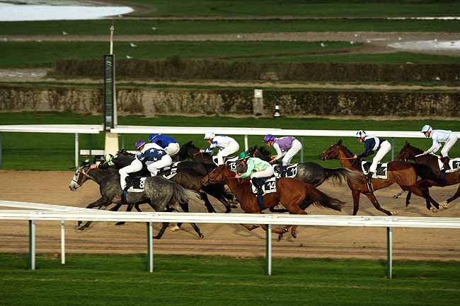 Arrivée quinté pmu PRIX DES DOUETS à DEAUVILLE