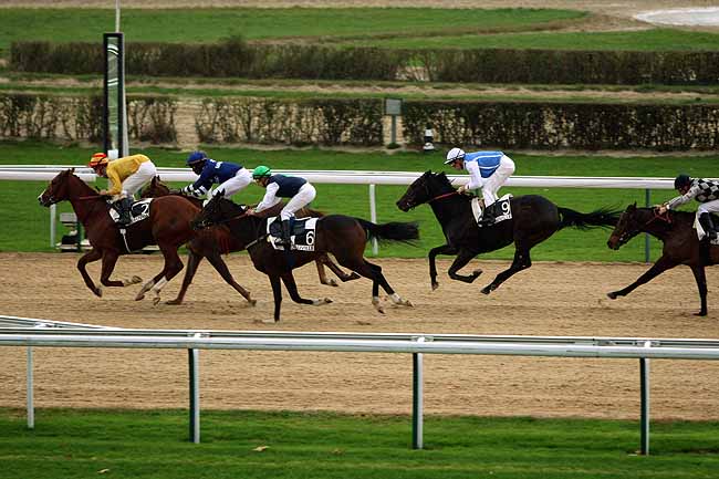 Arrivée quinté pmu PRIX DE BOIS CARROUGES (GR A) à DEAUVILLE MIDI
