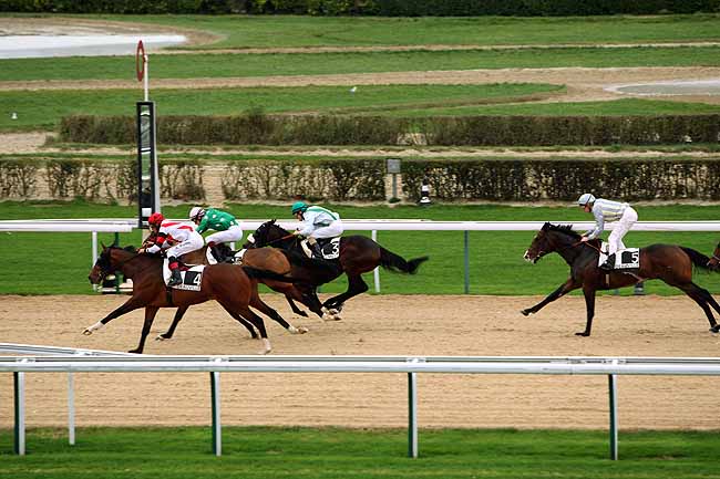 Arrivée quinté pmu PRIX DE BURSARD à DEAUVILLE