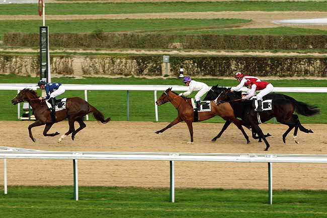 Arrivée quinté pmu PRIX DE GRATTE PANCHE à DEAUVILLE