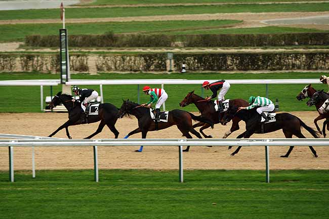 Arrivée quinté pmu PRIX DE BALME à DEAUVILLE