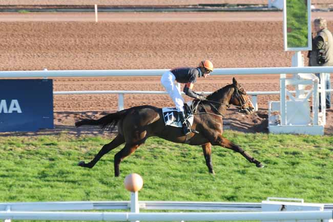 Arrivée quinté pmu PRIX DU MONT FALOURDE à CAGNES-SUR-MER