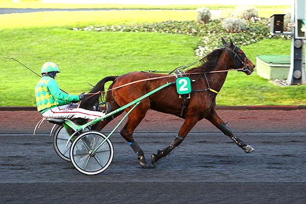 Arrivée quinté pmu PRIX DE MONTARGIS à PARIS-VINCENNES