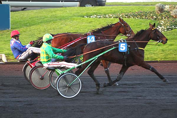 Arrivée quinté pmu PRIX DES GARDENIAS à PARIS-VINCENNES