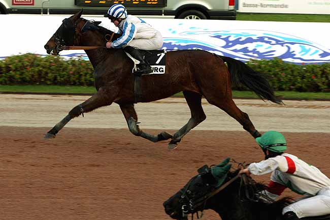 Arrivée quinté pmu PRIX DES SAULES à CABOURG