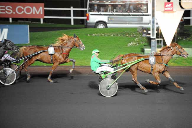 Arrivée quinté pmu PRIX TAYJETA à PARIS-VINCENNES