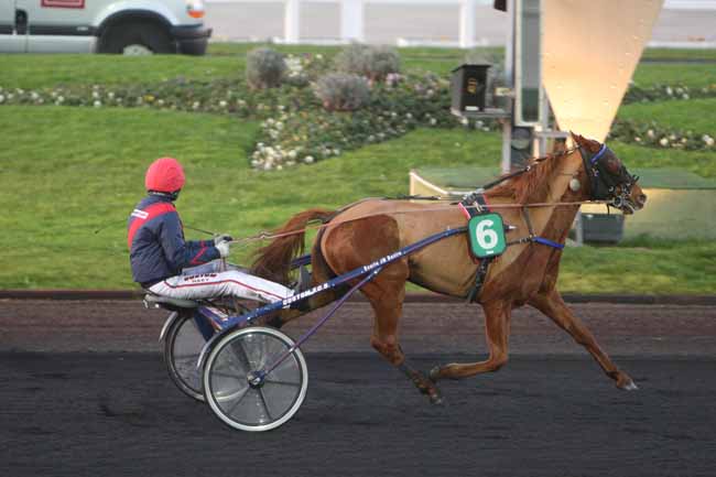 Arrivée quinté pmu PRIX DES CAMELIAS à PARIS-VINCENNES