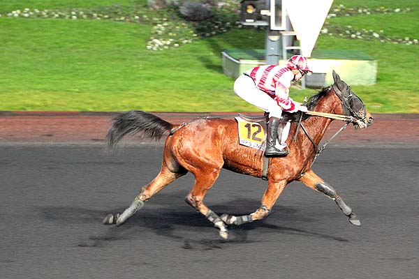 Arrivée quinté pmu PRIX DE GRAMAT à PARIS-VINCENNES